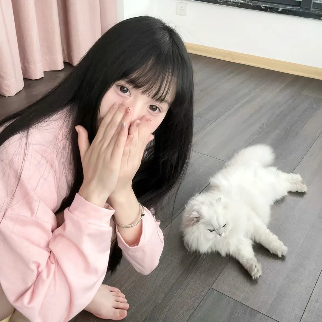 芭比的完美圣诞